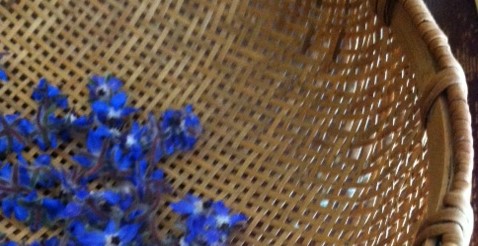 image description: blue borage flowers in tan woven basket. image copyright: Mo Bankey